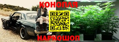 соль ск Лесосибирск