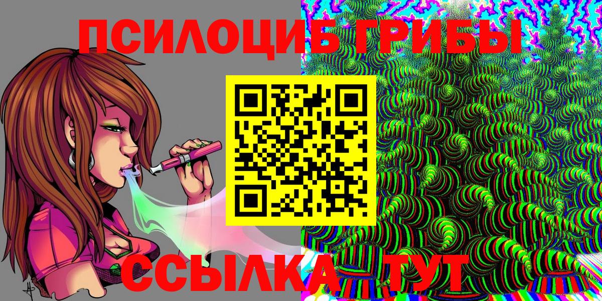 Псилоцибиновые грибы мицелий Губкинский